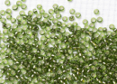 Бисер Япония MIYUKI Seed Beads 15/0 5г 0026 оливковый серебряная линия внутри